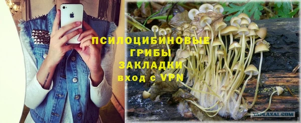 ешки Володарск
