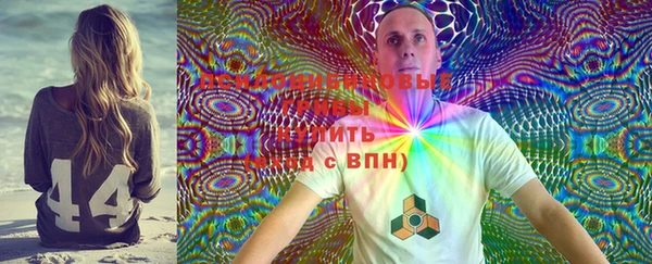 ешки Володарск